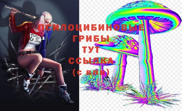 амфетамин Белокуриха