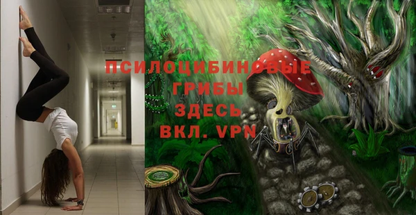 первитин Беломорск