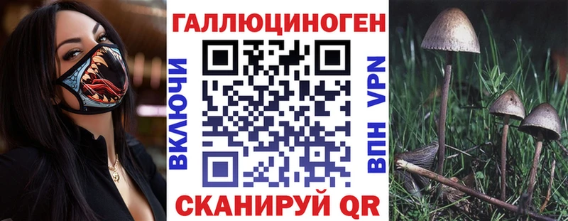 Псилоцибиновые грибы Psilocybe  купить закладку  Дальнегорск 